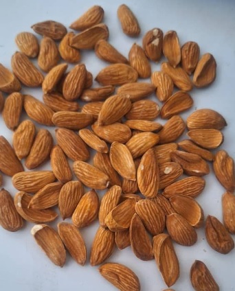 قیمت مغز بادام مینی مامایی + فروش عمده